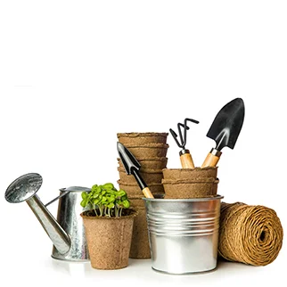 Best Landscaping Contractor in Phoenix