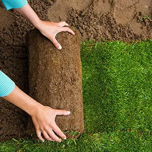 sod installation phoenix