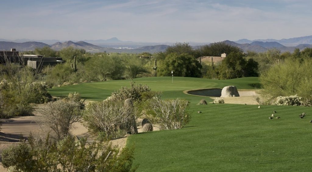 Tifgreen 328: The Perfect Turf for a Manicured Lawn 2 Tiffgreen