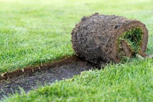 Blogs 23 SOD installation