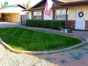 Blogs 33 SOD Repair