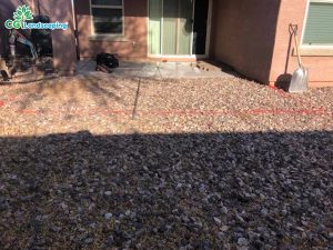 Blogs 19 Lawn Care Service