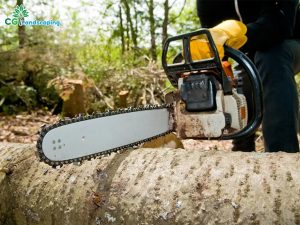 Blogs 25 Tree Trimming Services