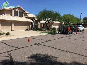 Blogs 17 Overseeding Services