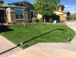 Customized Landscaping