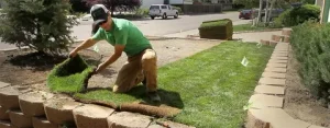 SOD Repair