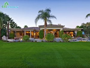 Professional Landscaping Services