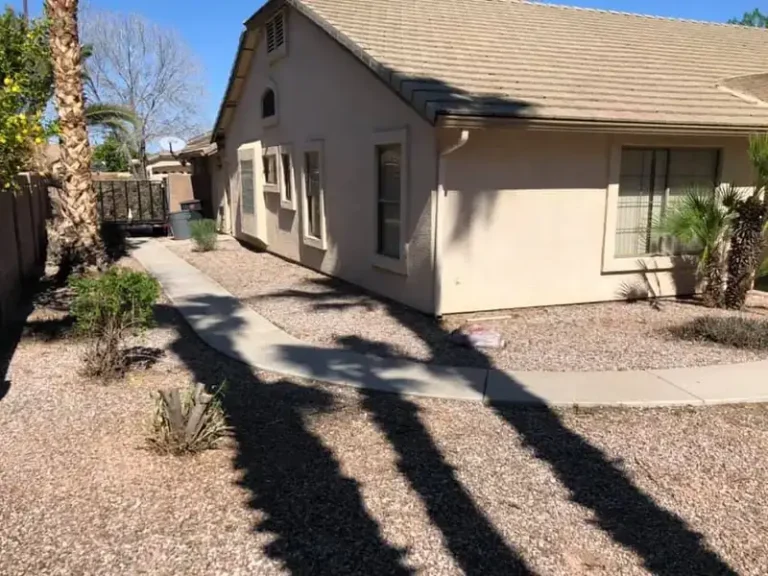 Backyard desert landscaping with a concrete walkway, palm tree and drought tolerant plants