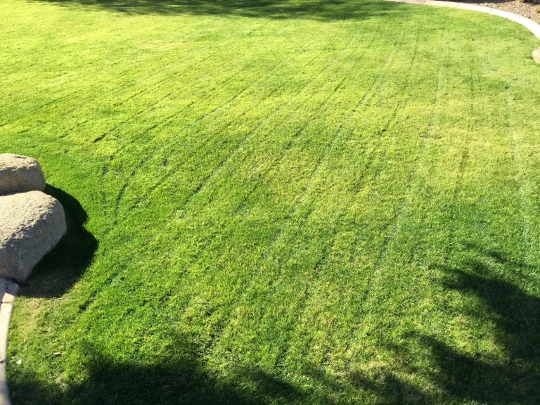 Freshly mowed green lawn with mowing stripes beside landscape boulders