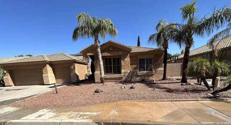 Front yard with red decorative rock, palm trees and a freshly poured concrete curb