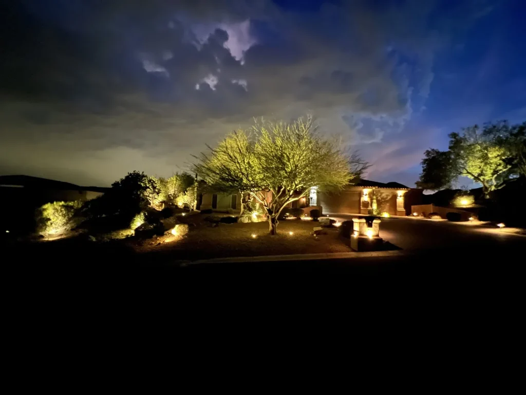 Landscape lighting on trees and desert plants in front of a home at dusk
